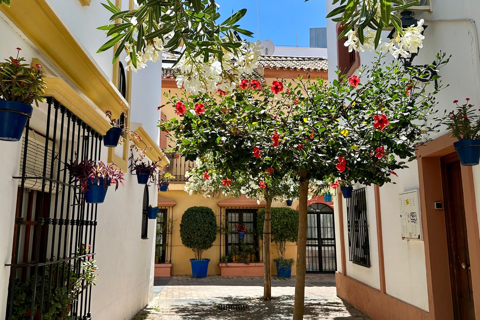 Estepona — zdjęcie 2